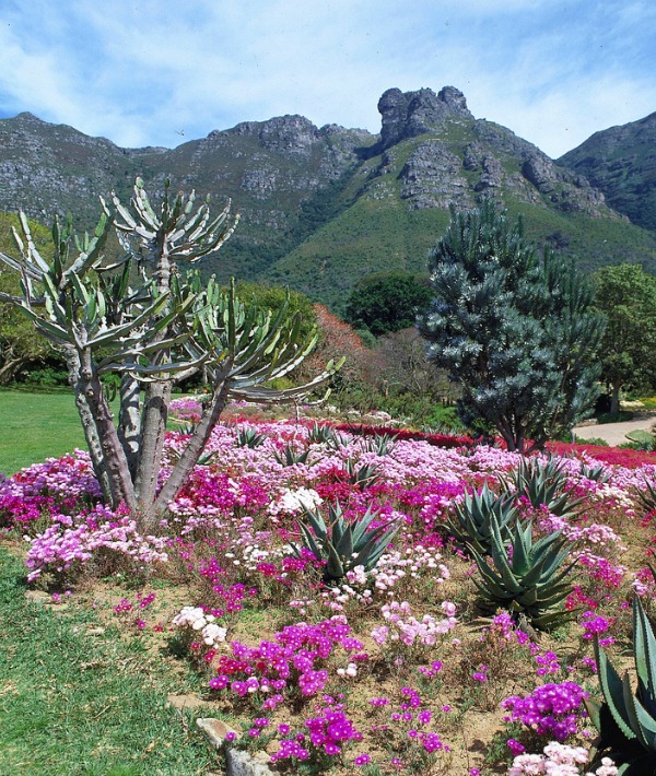 161139-cape-town.jpg