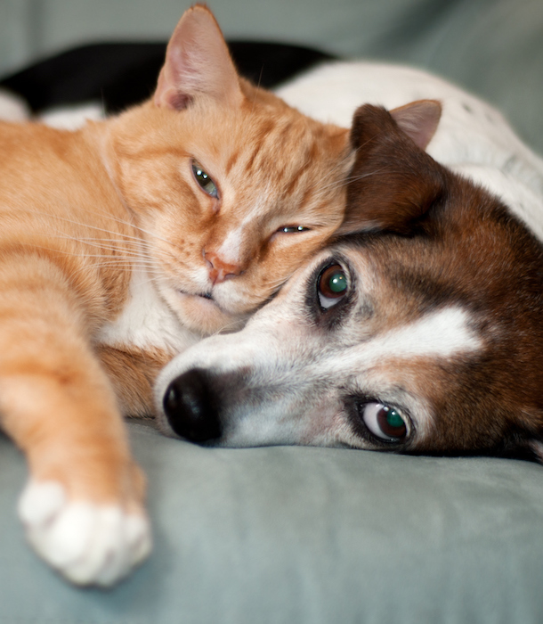 best friends
