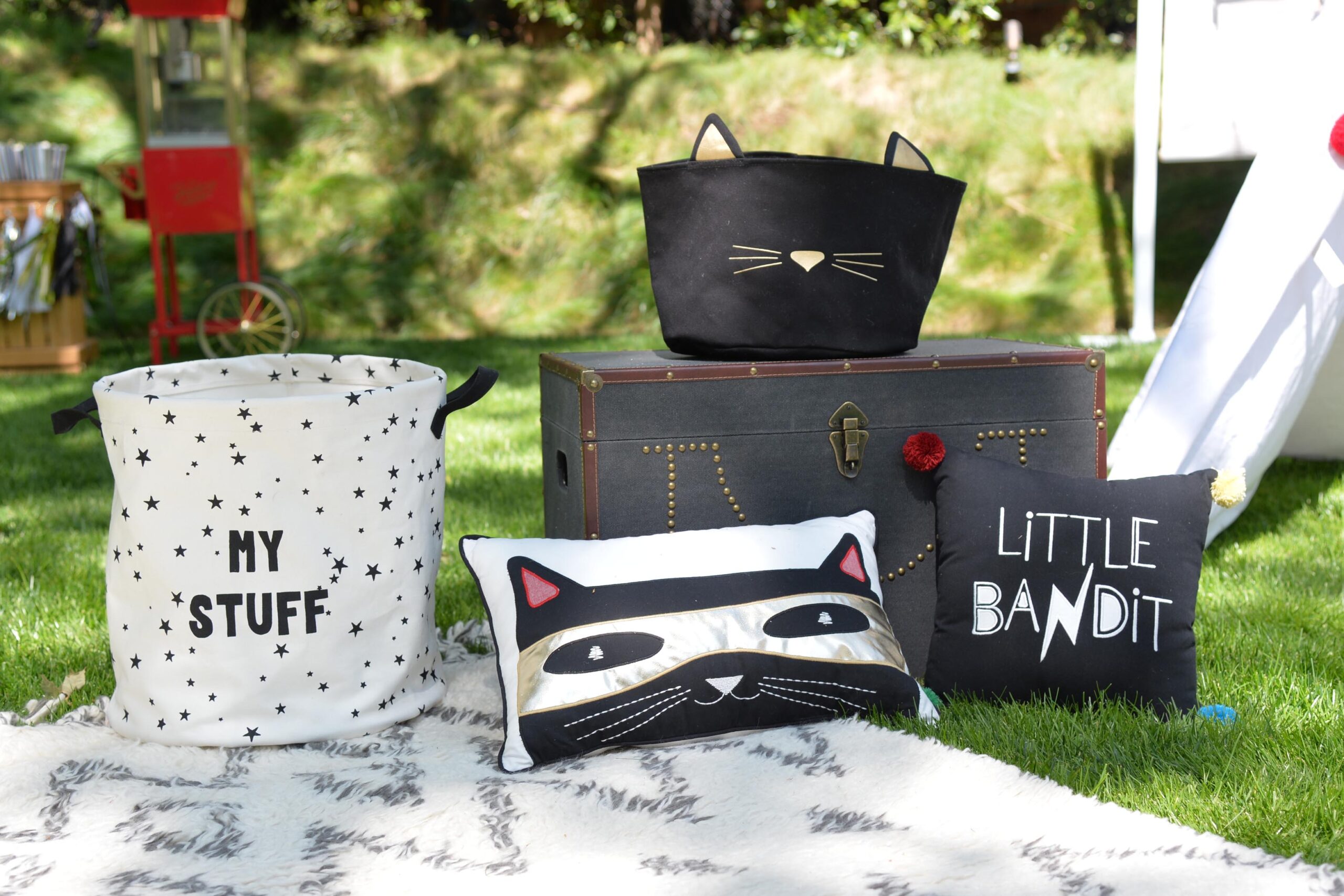 Photograph by Michael Simon/startraksphoto.com