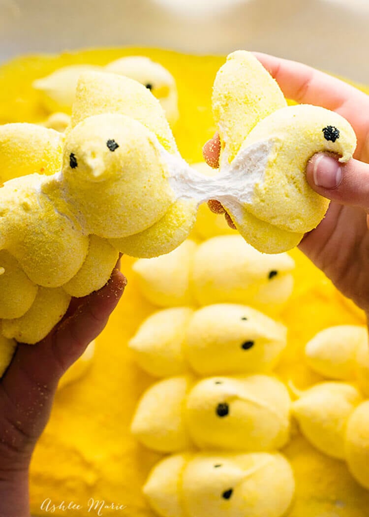 164761-making-homemade-peeps-is-easier-than-you-think-check-out.jpg