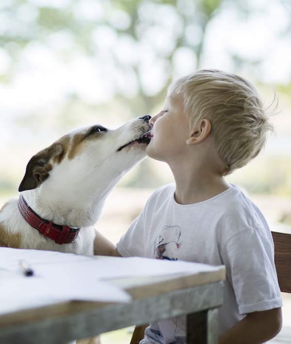 Boy and dog
