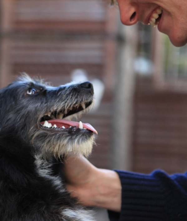 Cropped Image Of Man Cuddling Dog