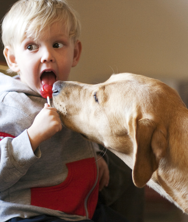 Boy & Dog