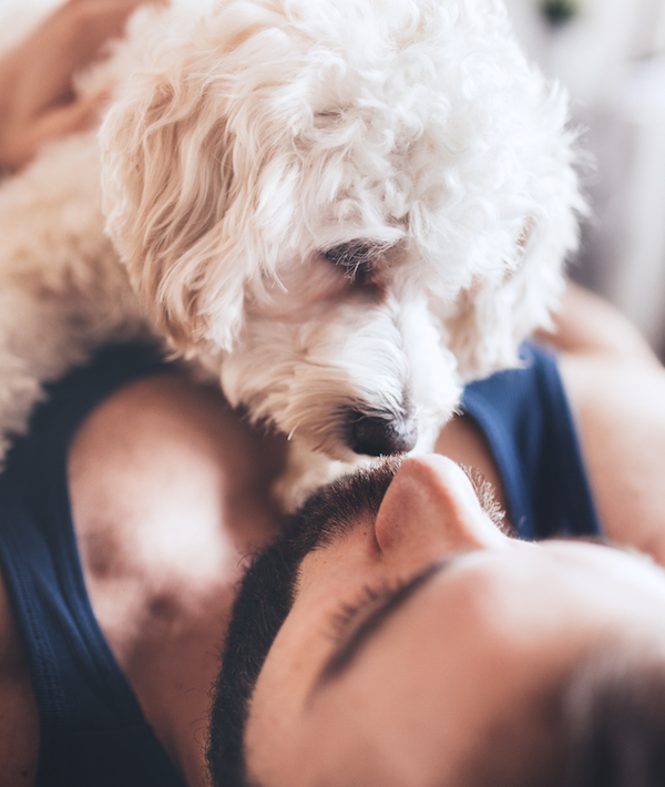 Young man lying in bed, stroking dog