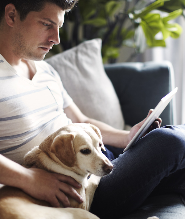 Mid adult man reading digital tablet on sofa whilst petting dog