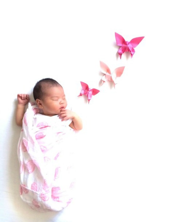 166496-baby-butterflies.jpg 166496-baby-butterflies.jpg