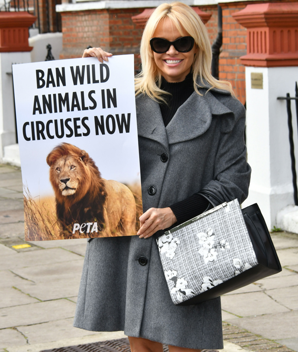 Pamela Anderson launches PETA 'Ban Wild Animals in Circuses now' campaign, London, UK - 12 Oct 2016