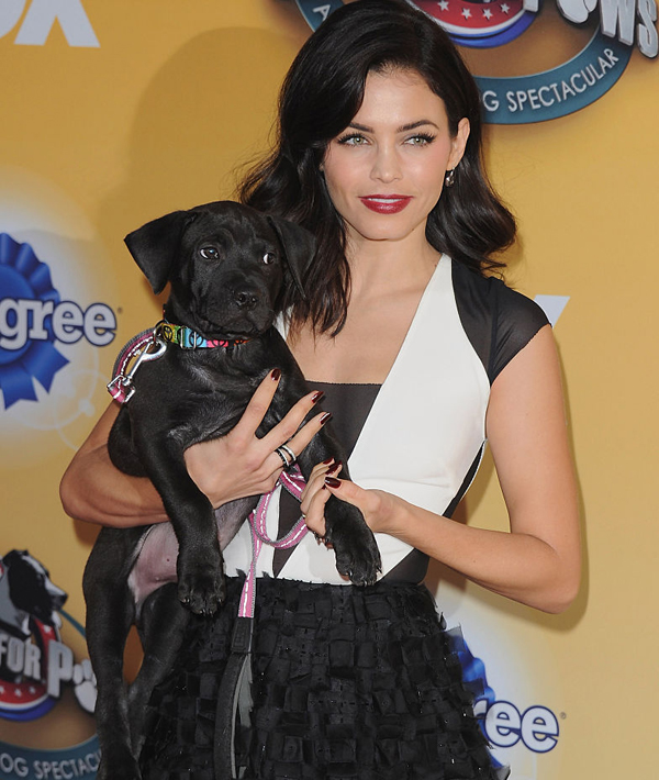 FOX's Cause For Paws: An All-Star Dog Spectacular