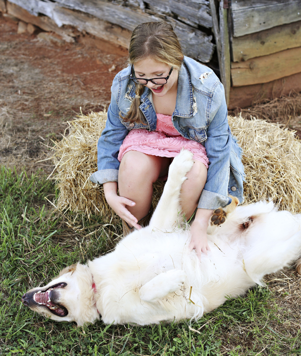 Caucasian girl scratching belly of dog on farm
