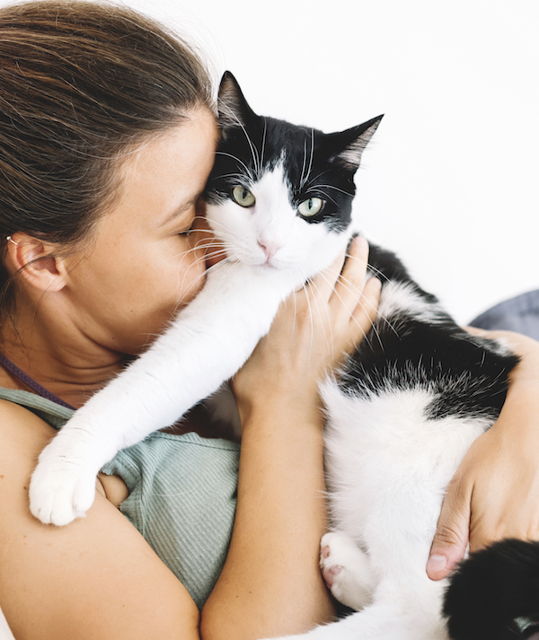 Woman sitting on the sofa hugging her cat