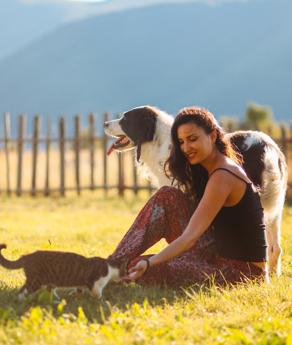 Playing with cats and dogs in the beautiful outdoors