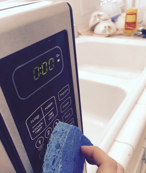 169598-microwave-and-dish-sponge.jpg