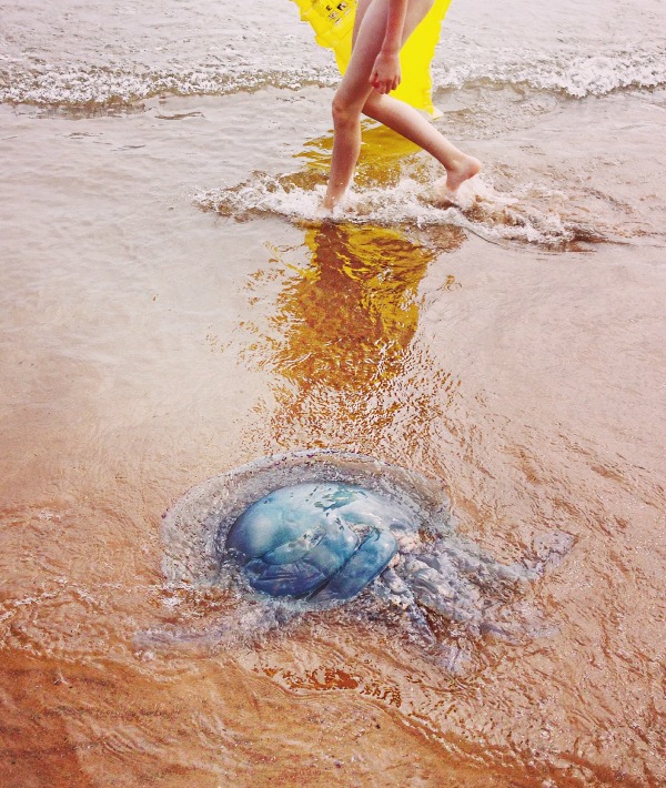 170606-jellyfish.jpg