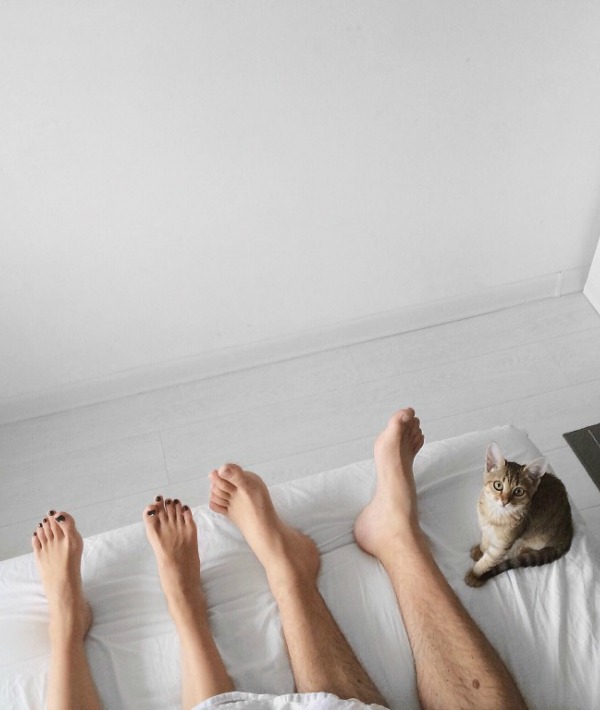 170825-kitty-bed-feet-1.jpg