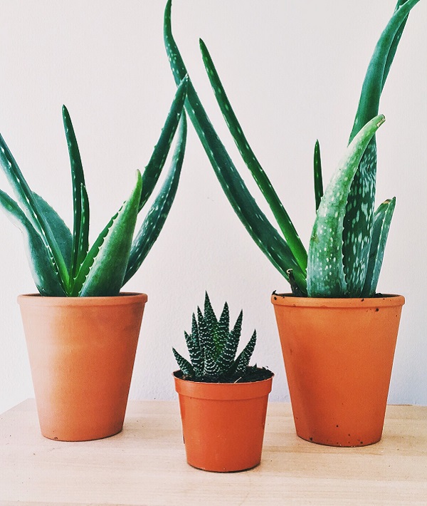 Processed with VSCO with c1 preset