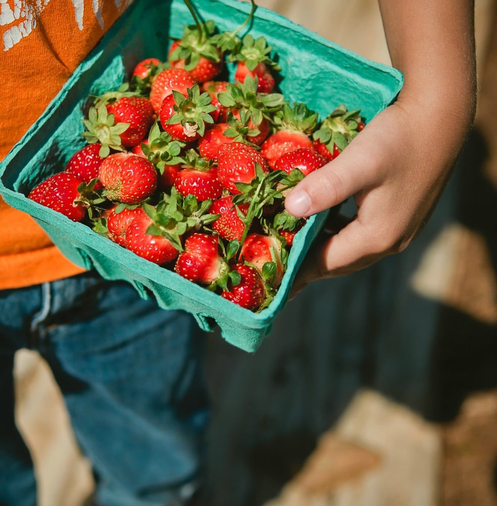 171673-berry.jpg