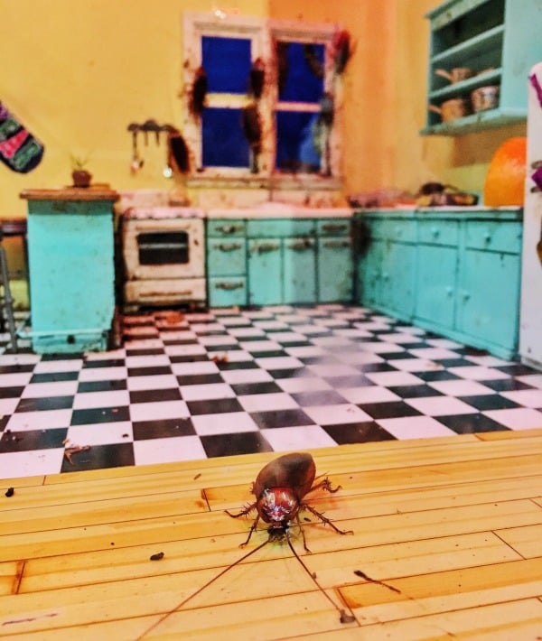 171694-roaches.jpg
