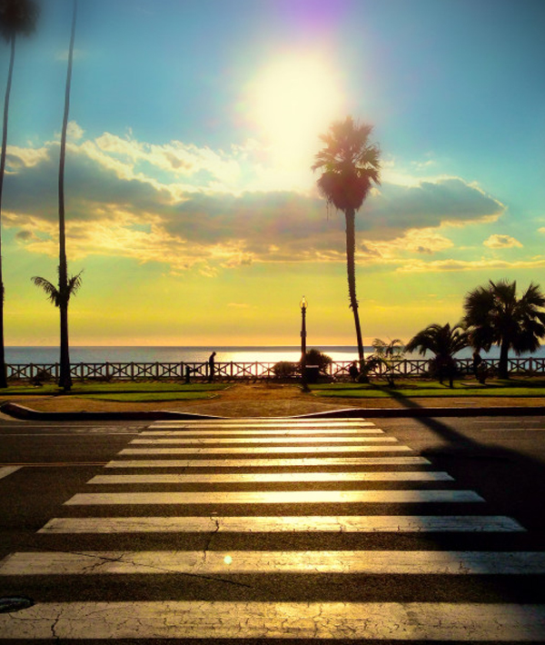 172126-1-sunrays2.jpg