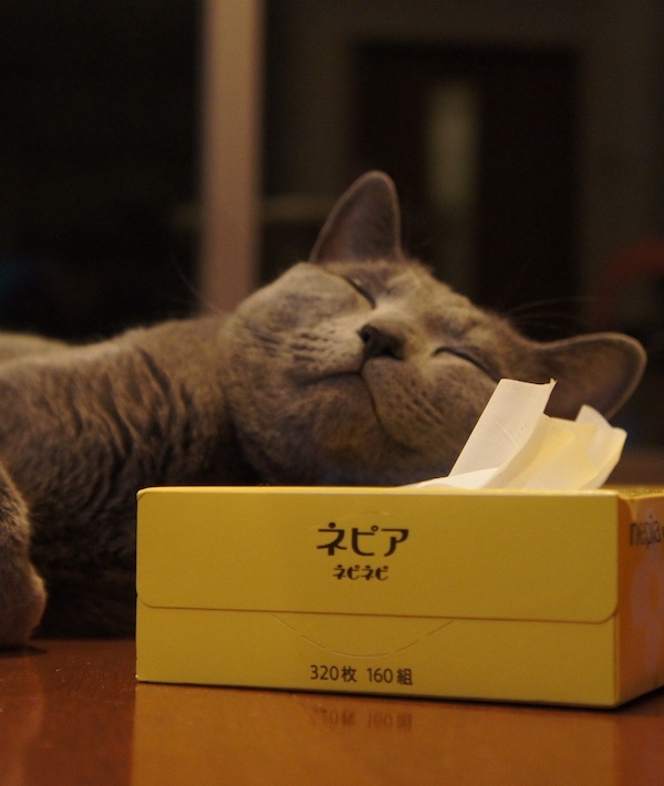 SONY DSC