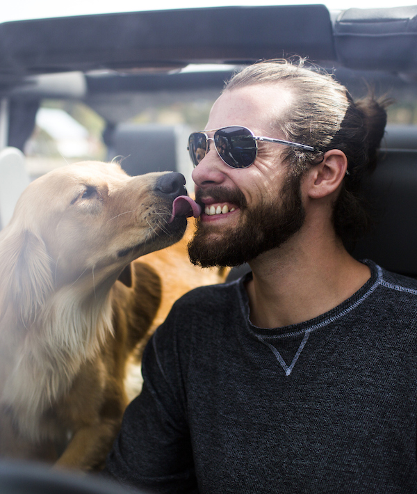 Dog licking young mans bearded face in jeep