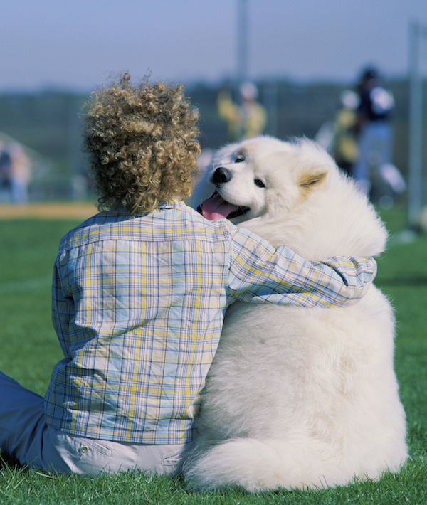 Woman sitting with Samoyed Dog, watching baseball game, rear view