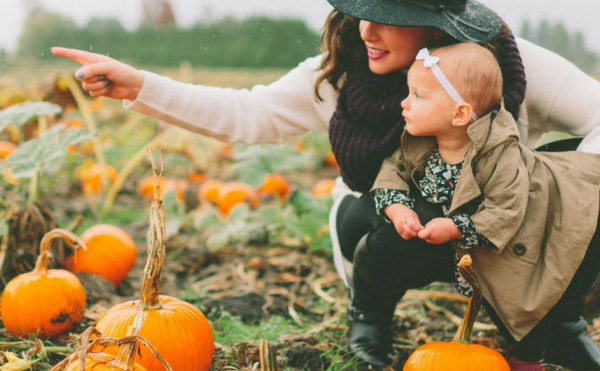 pumpkin-patch