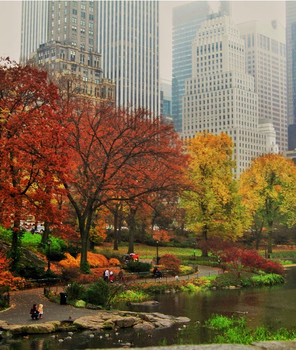 188583-new-york-city.jpg