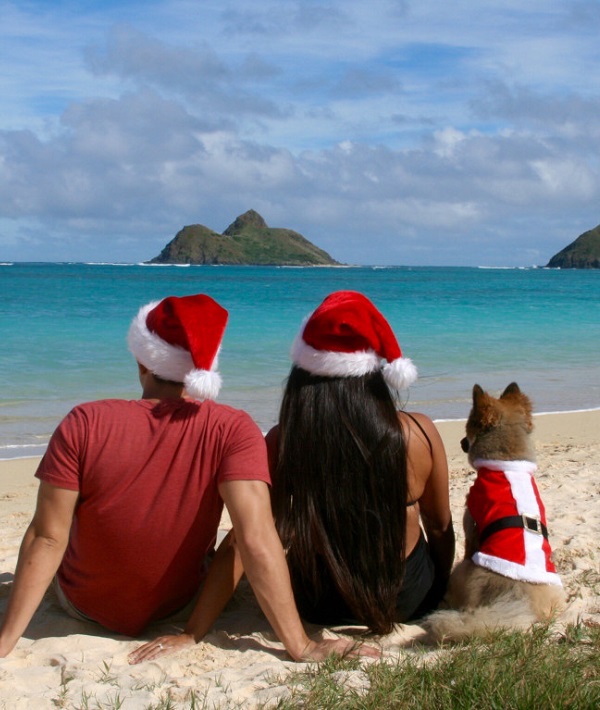189320-travel-christmas-cover.jpg