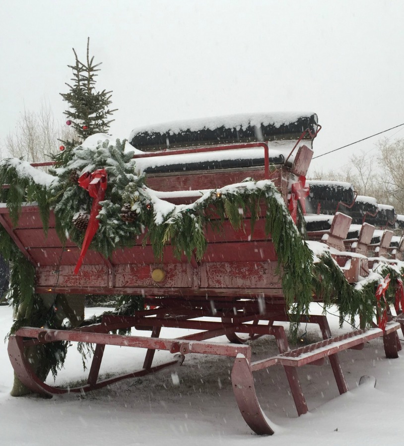 189354-sleigh.jpg