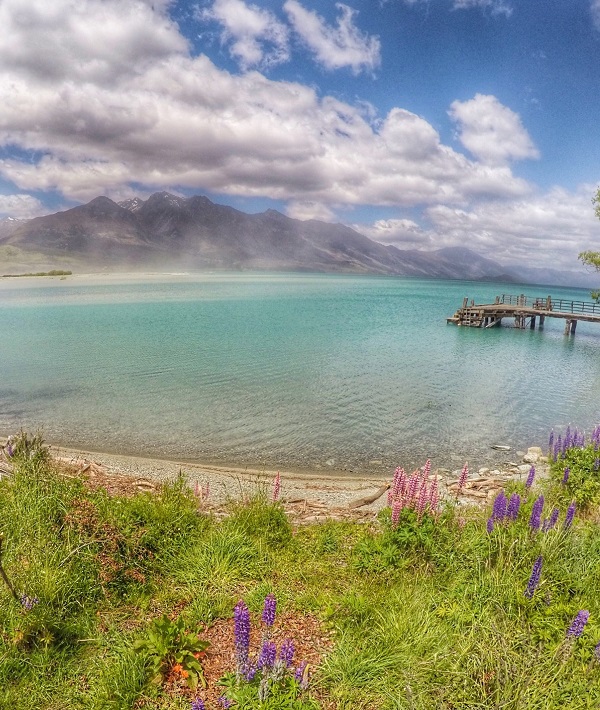 192397-queenstown-new-zealand.jpg