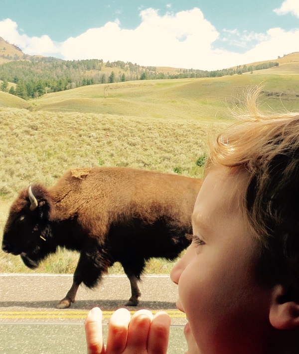 193765-yellowstone.jpg