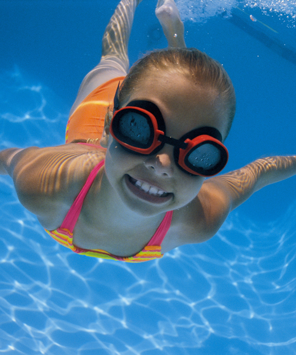 19683-swimming-along.jpg