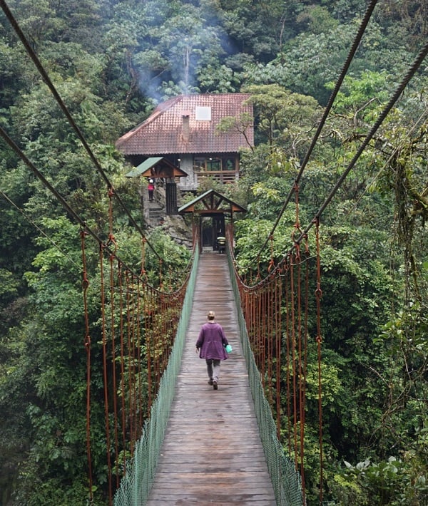 197791-ecuador.jpg