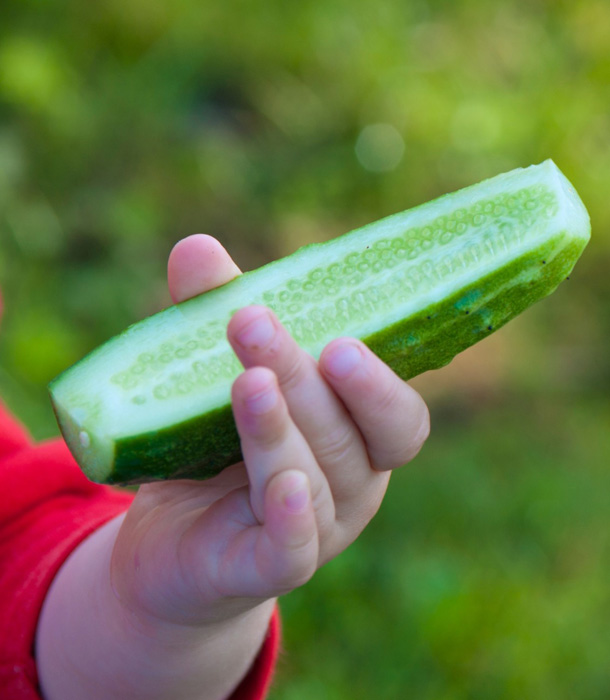 202877-baby-cucumber.jpg