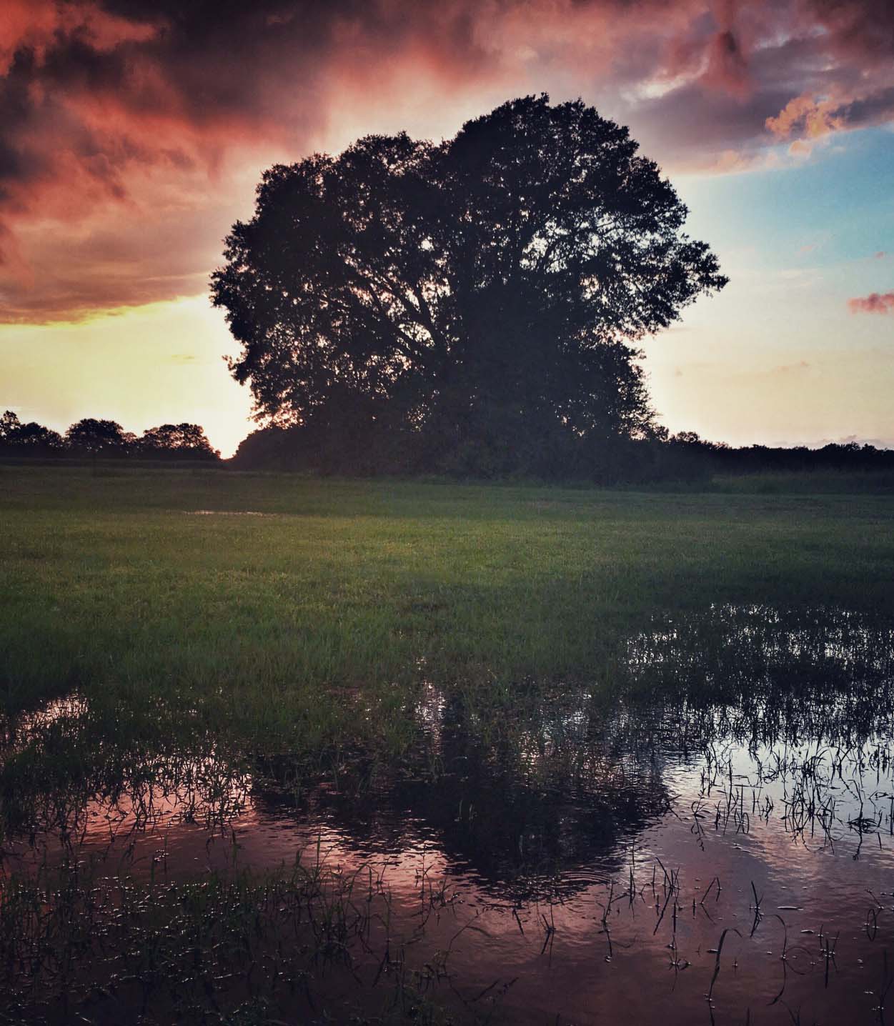 207706-storm-moving-in-at-sunset-breaux-bridge-la_t20_oevzzq.jpg