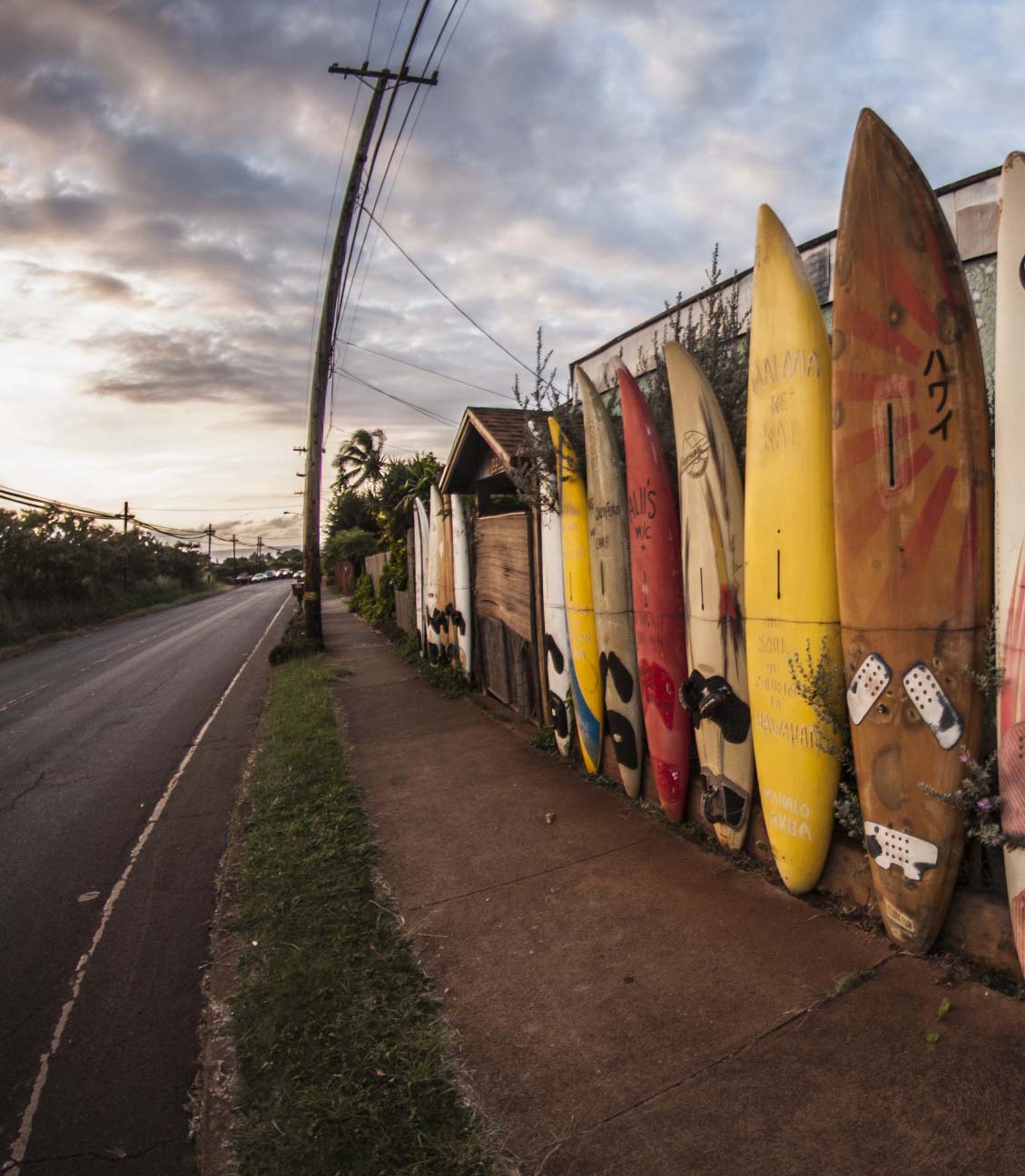 207711-a-decorative-fence-made-of-old-windsurfing-boards-capture.jpg