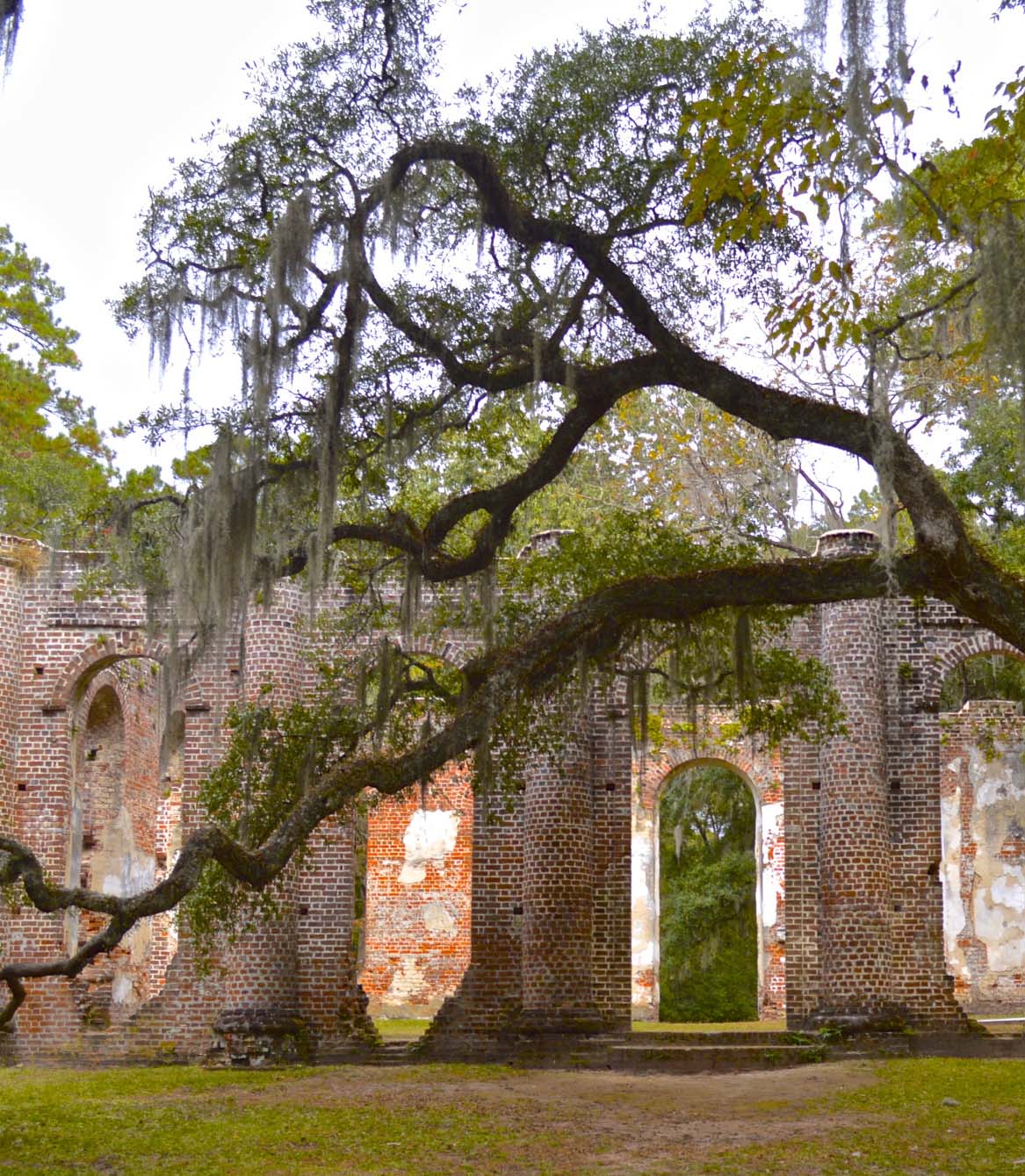 207726-old-sheldon-ruins-beaufort-sc_t20_poql77-1.jpg