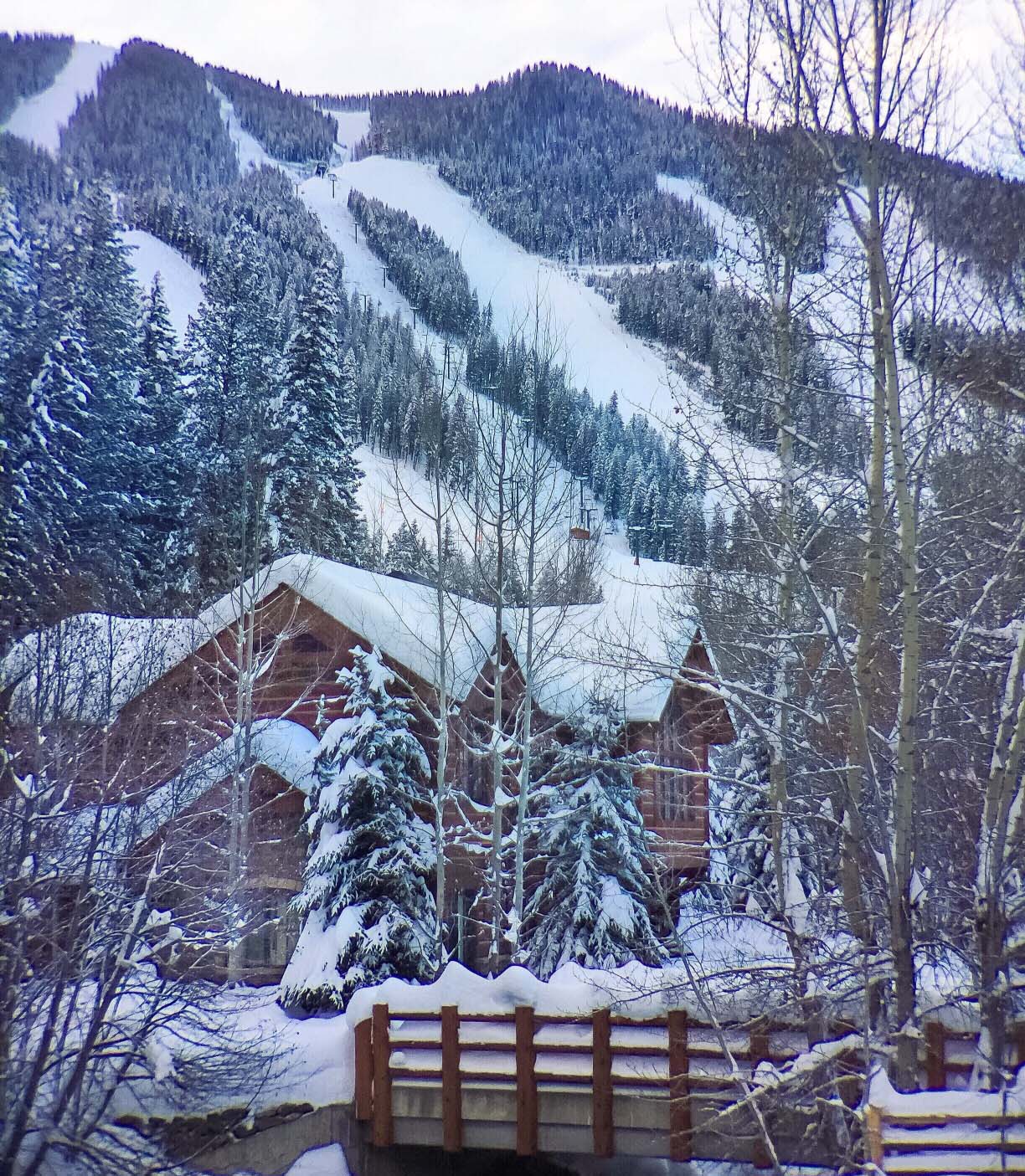 207731-our-neighbors-log-cabin-in-ketchum-idaho_t20_v3zprp.jpg