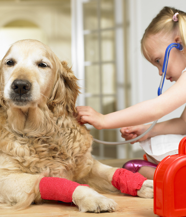 Girl playing doctor with dog