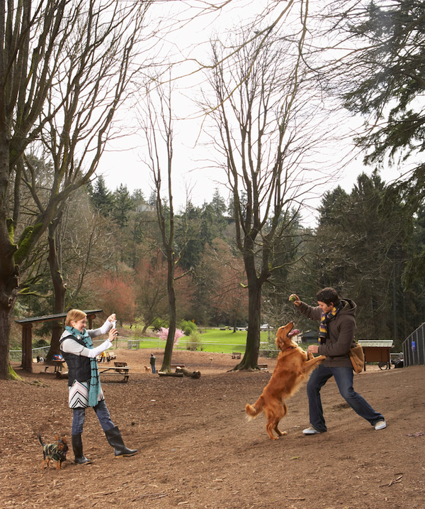 Young man and woman with dogs in dog park, woman photographing man