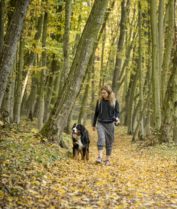Girl taking her dog for a walk, Autumn colours, Transylvania, Romania