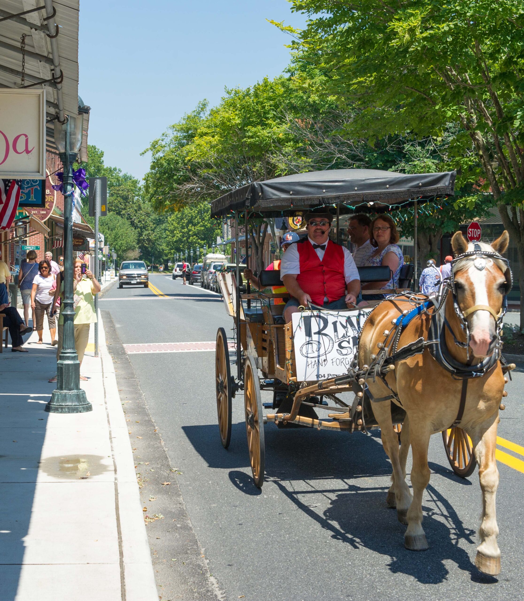 Horse and Carriage ride in downtown Berlin, Maryland, USA