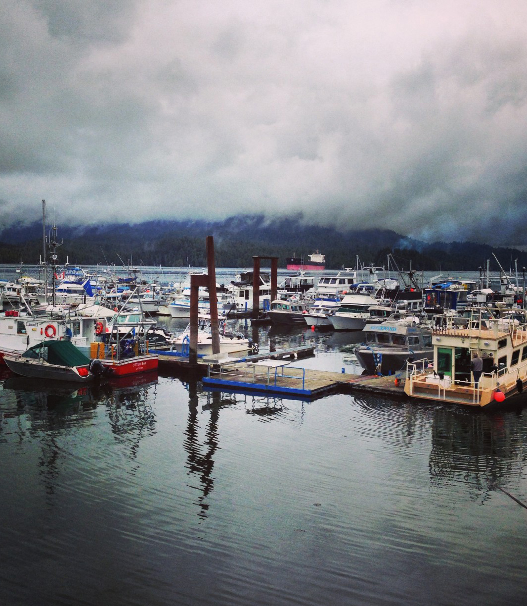 208399-port-in-wrangell-alaska_t20_99oyr8.jpg