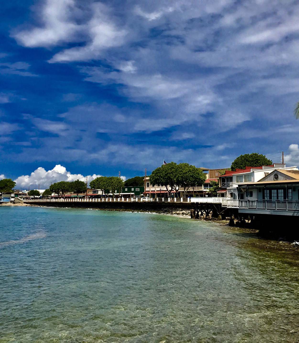 208425-old-lahaina-towne_t20_g8drkb.jpg