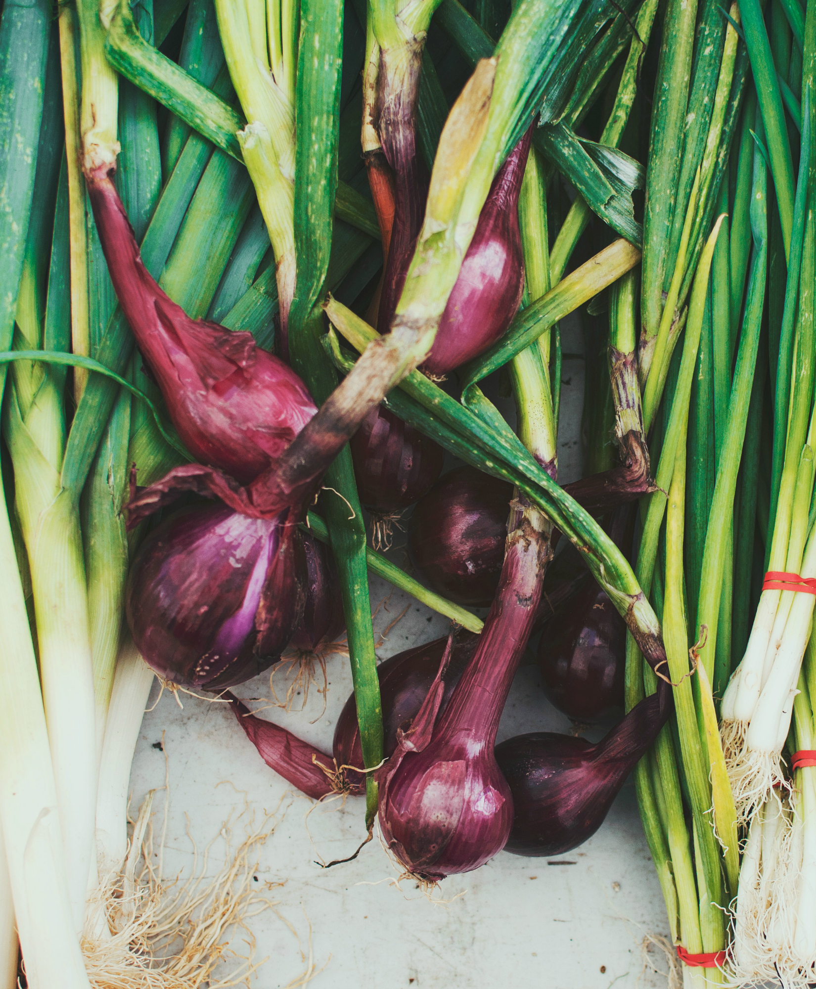 209264-detox-foods-weight-loss-onions.jpg