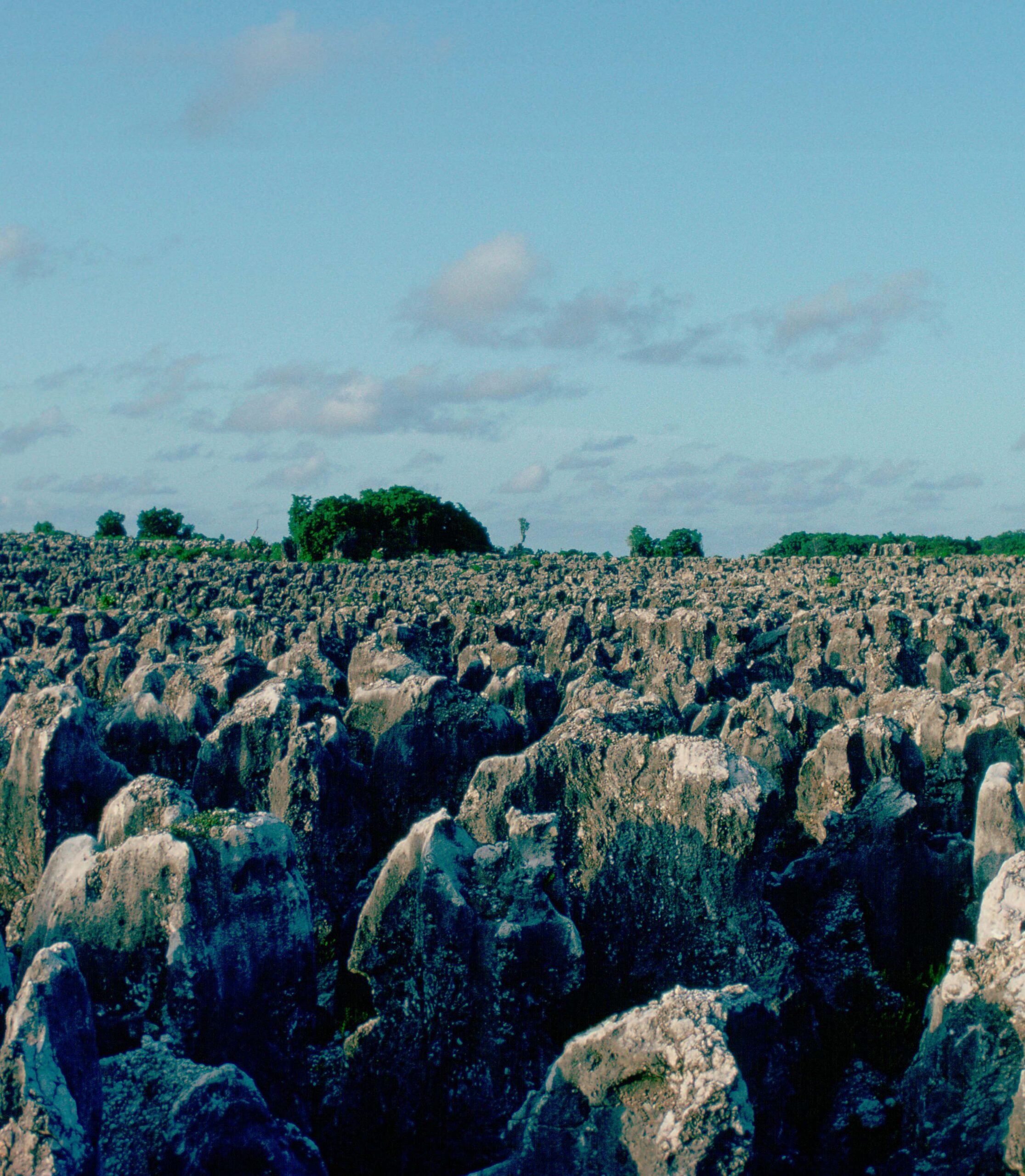 Phosphate Fields, Nauru, South Pacific