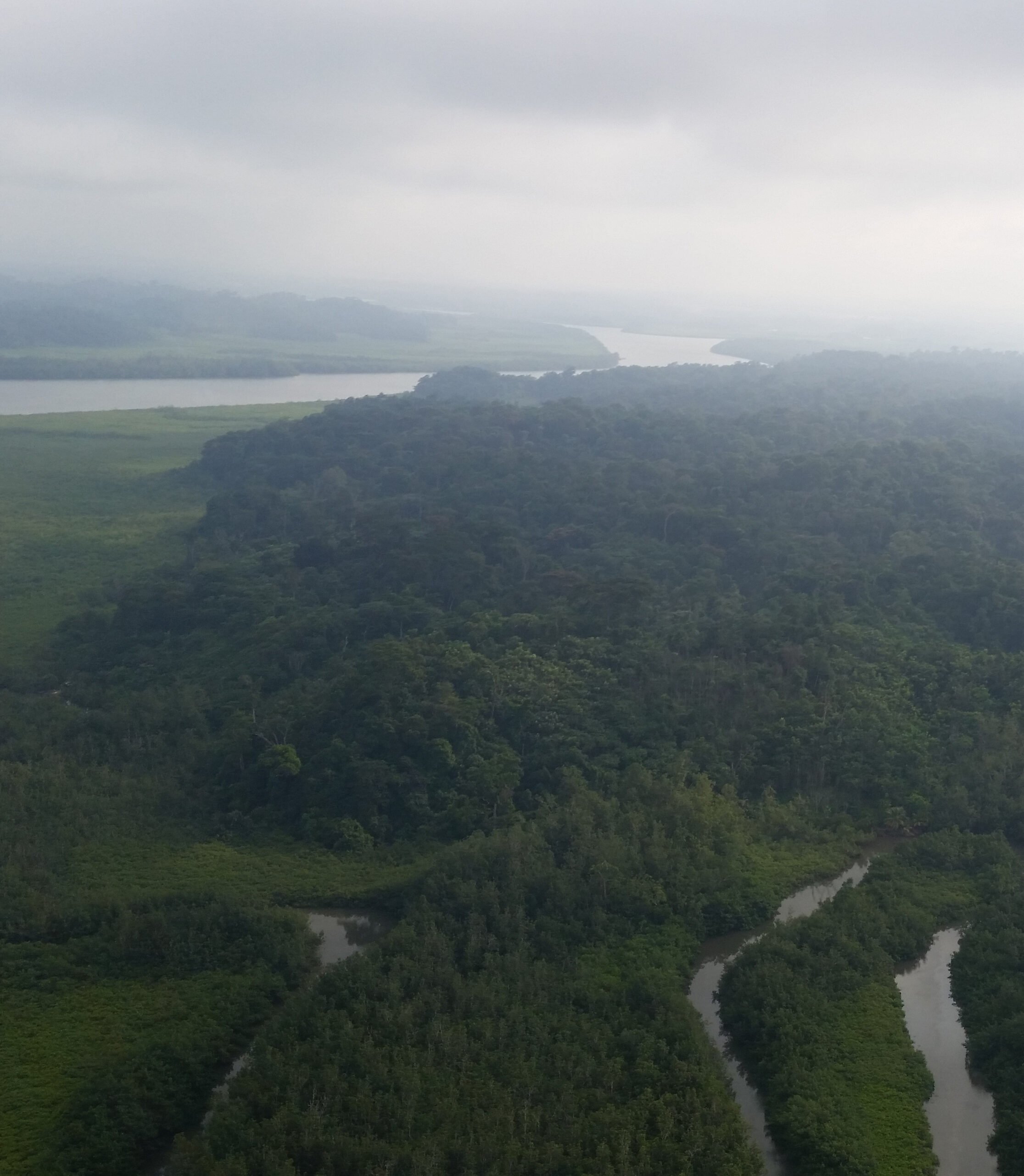 211749-landscape-rain-forest-gabon-equatorial-africa-view-from-h.jpg