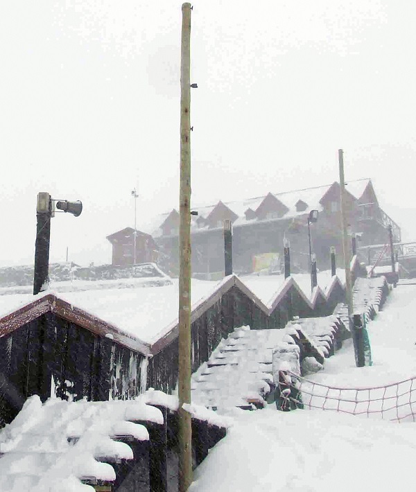 This picture taken 02 August 2006 shows