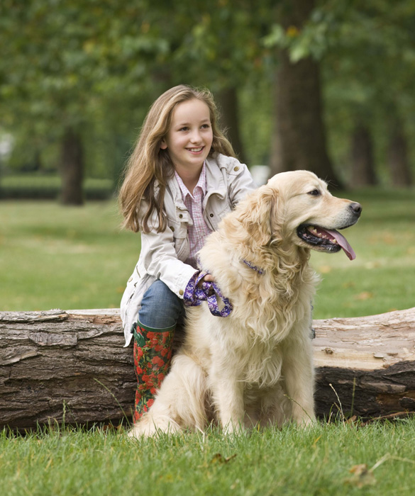 21710-top-10-family-friendly-dogs10c.jpg