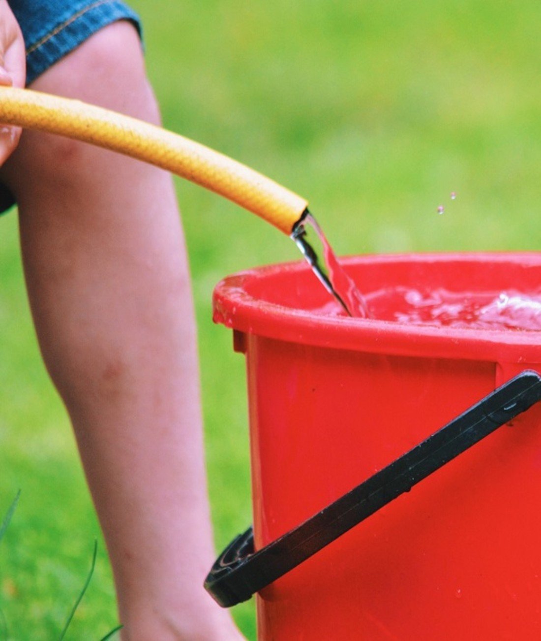 218749-bucket-of-water.jpg